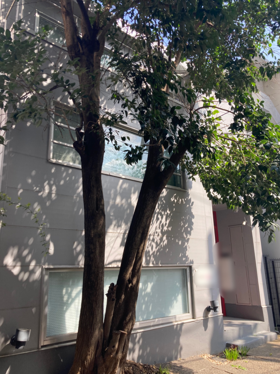 fresh/building/J00100412940_5