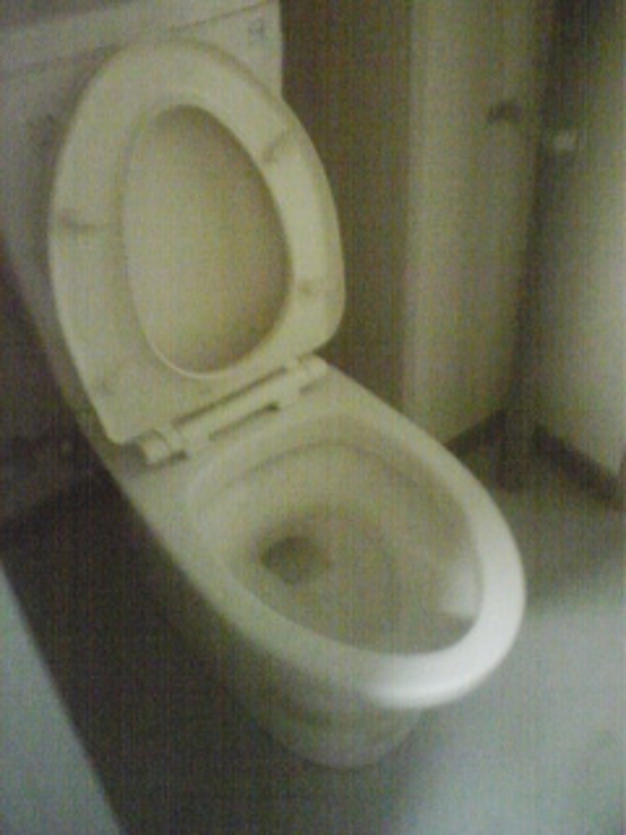 fresh/building/J00100413584_7