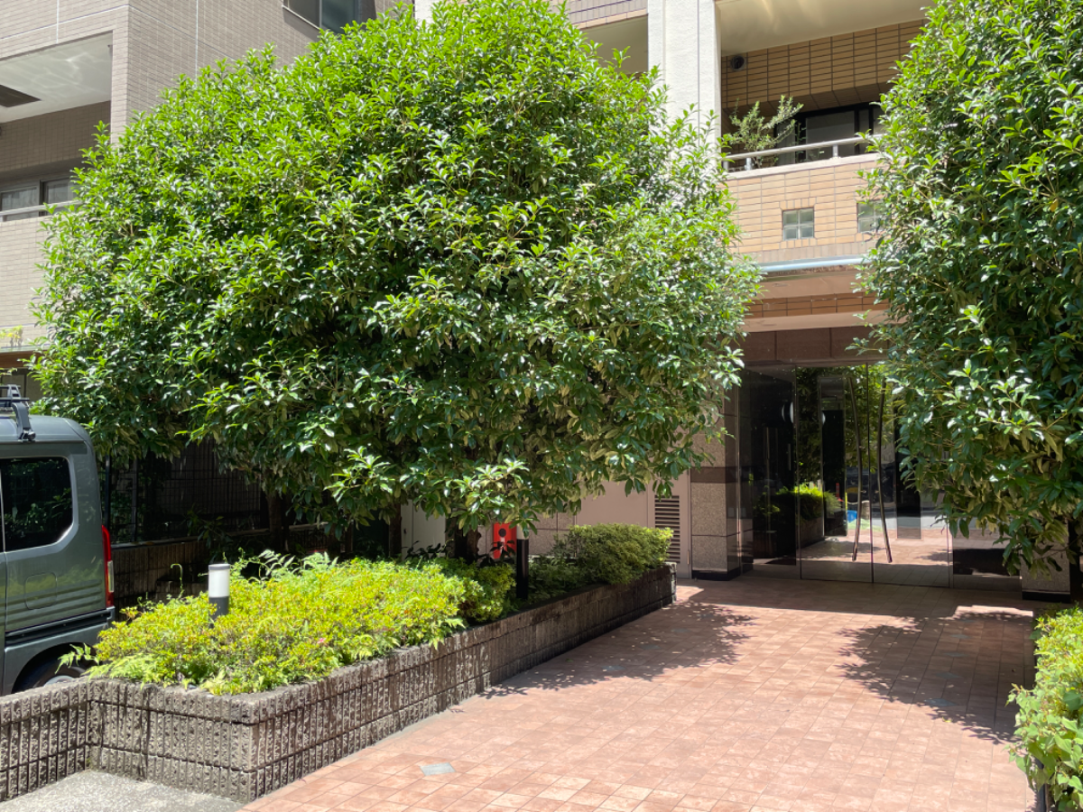 fresh/building/J00100413646_12
