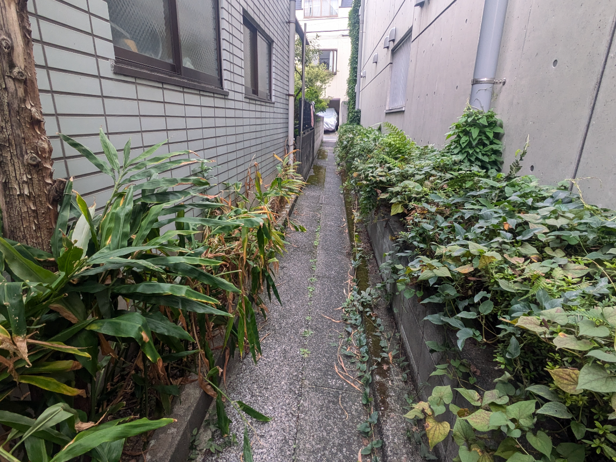 fresh/building/J00100414257_13