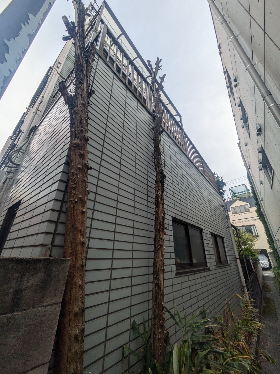 fresh/building/J00100414257_6