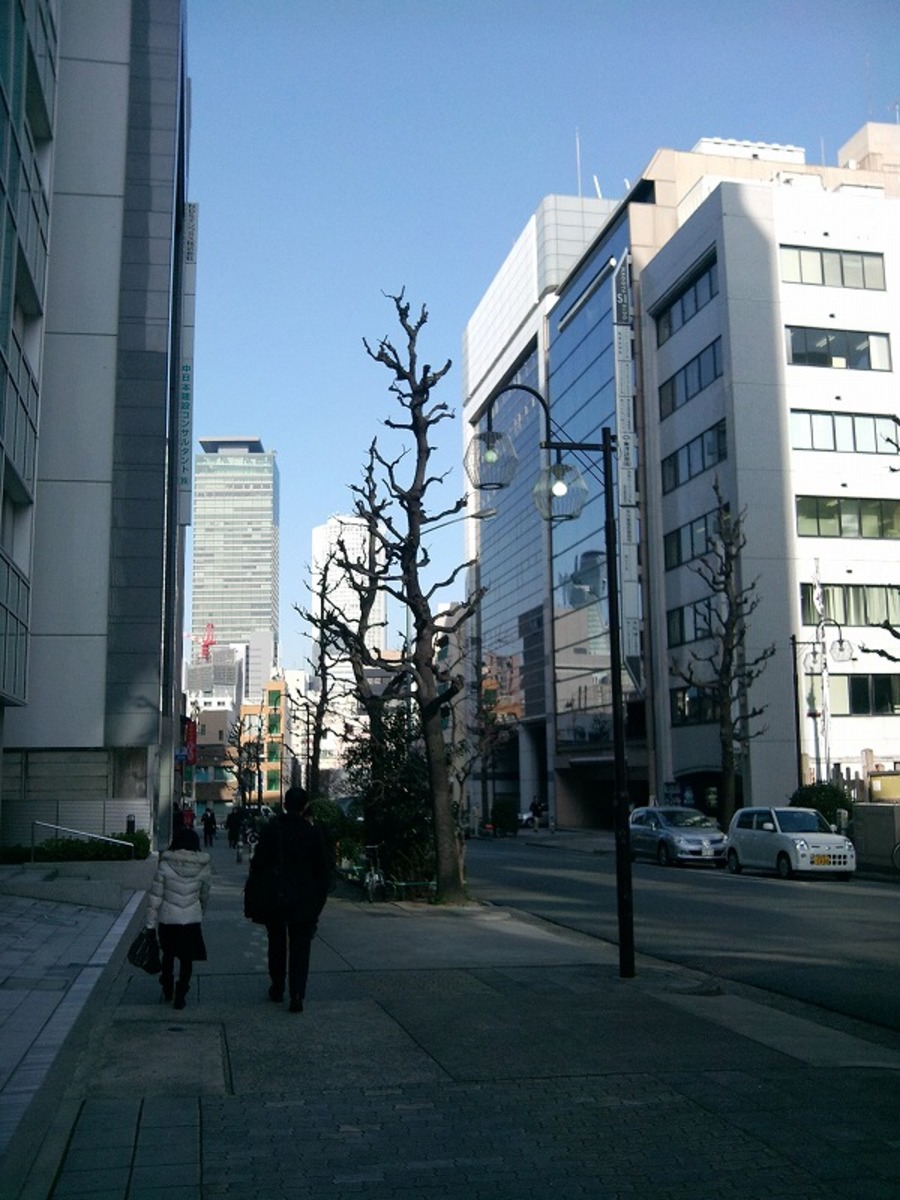 fresh/building/J00100414482_3