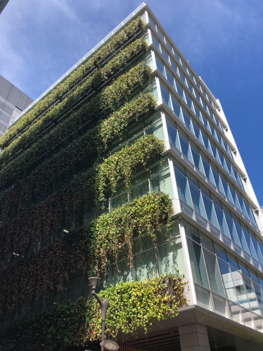 fresh/building/J00100414751_8