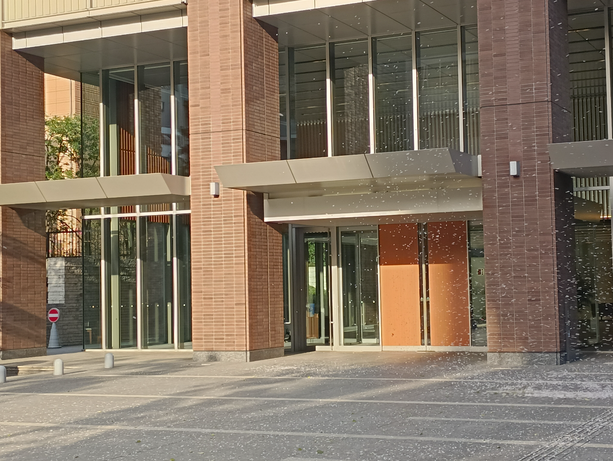 fresh/building/J00100415302_12