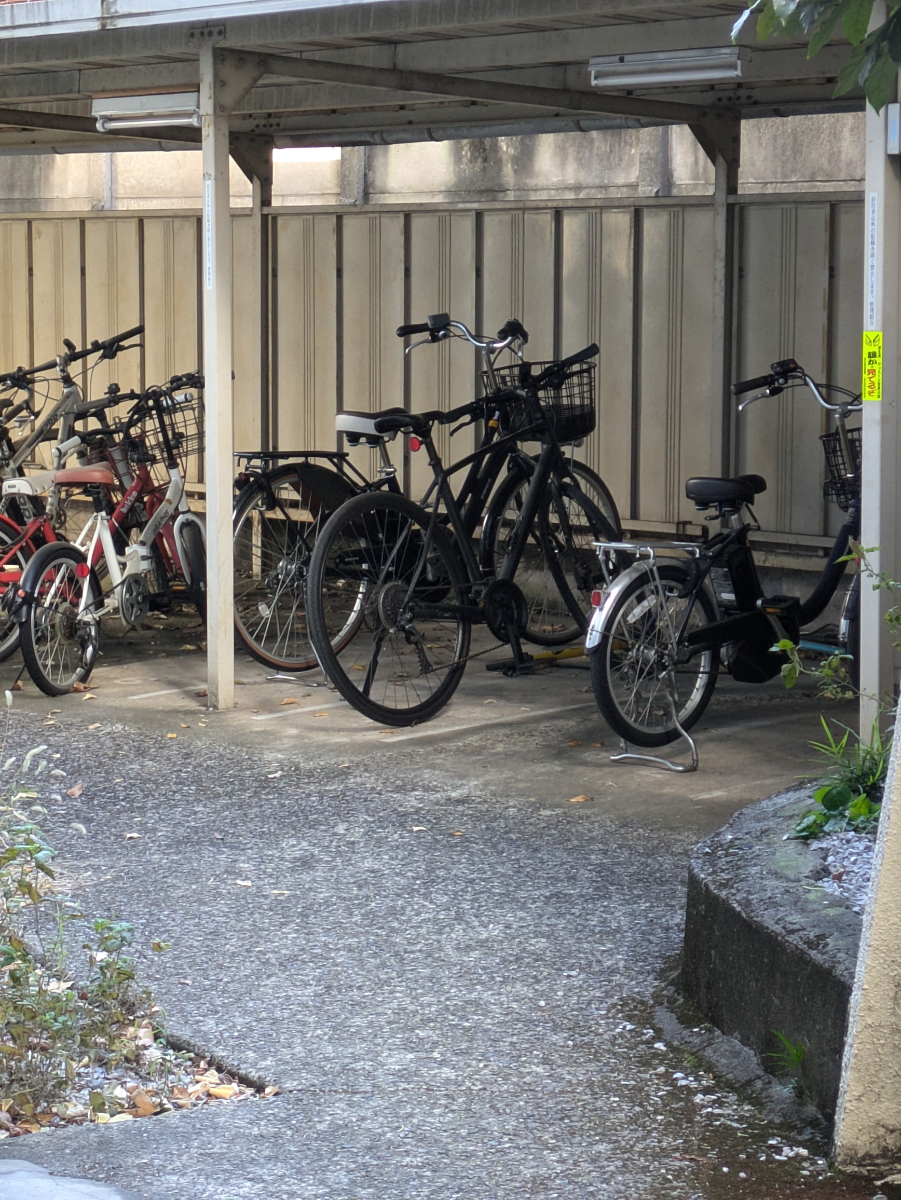 fresh/building/J00100415425_12