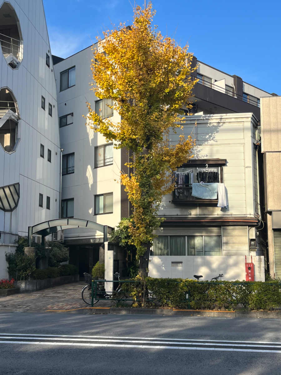 fresh/building/J00100415425_5