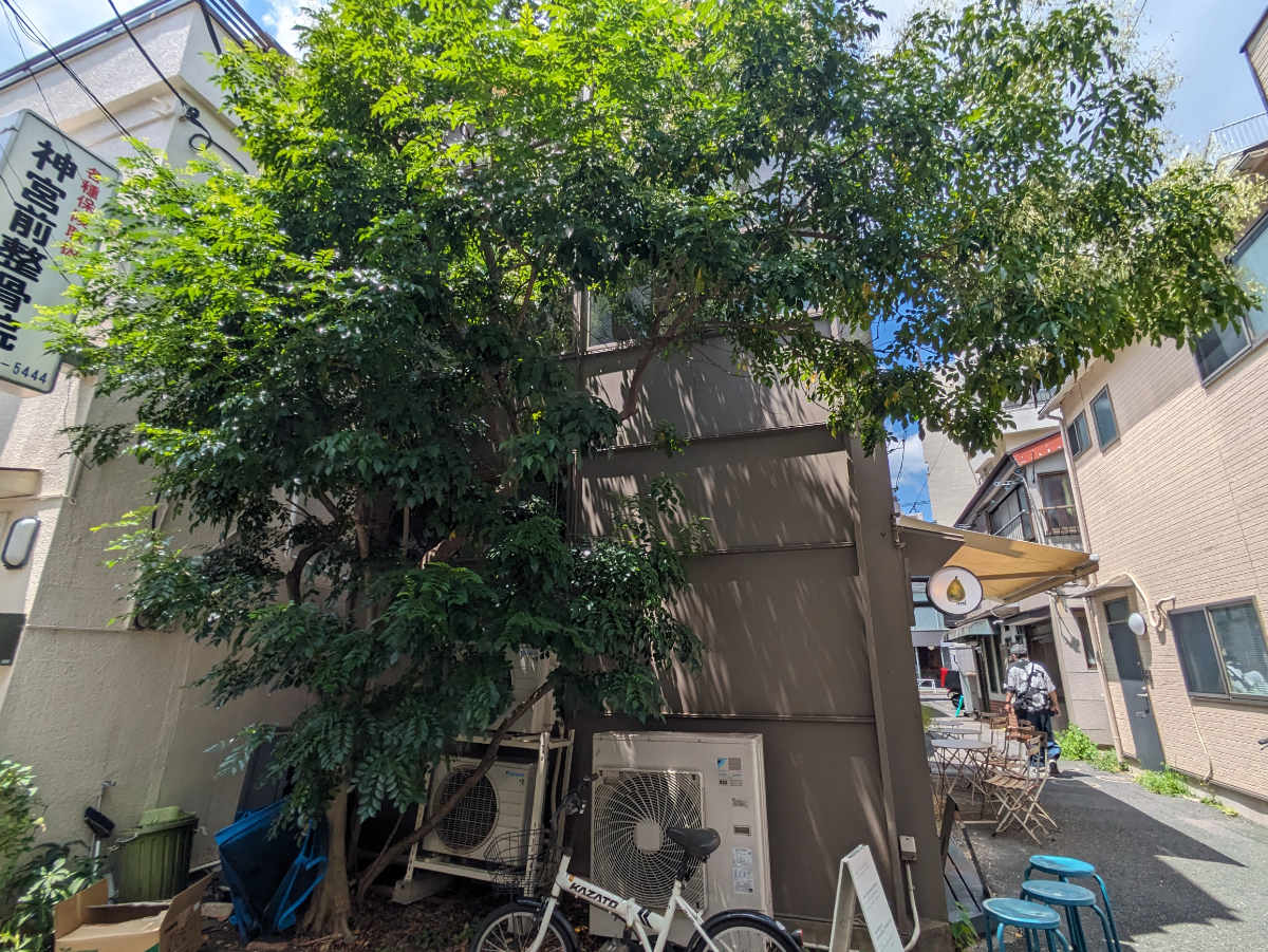 fresh/building/J00100415523_10