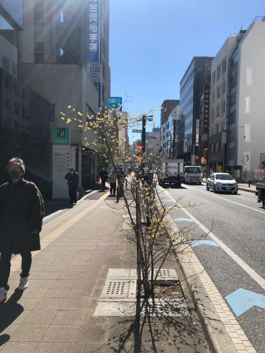 fresh/building/J00100415594_2