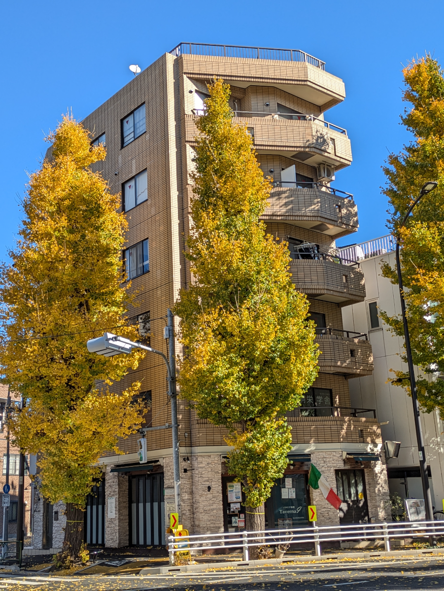 fresh/building/J00100415921_7