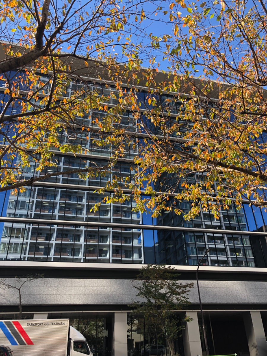 fresh/building/J00100416279_12