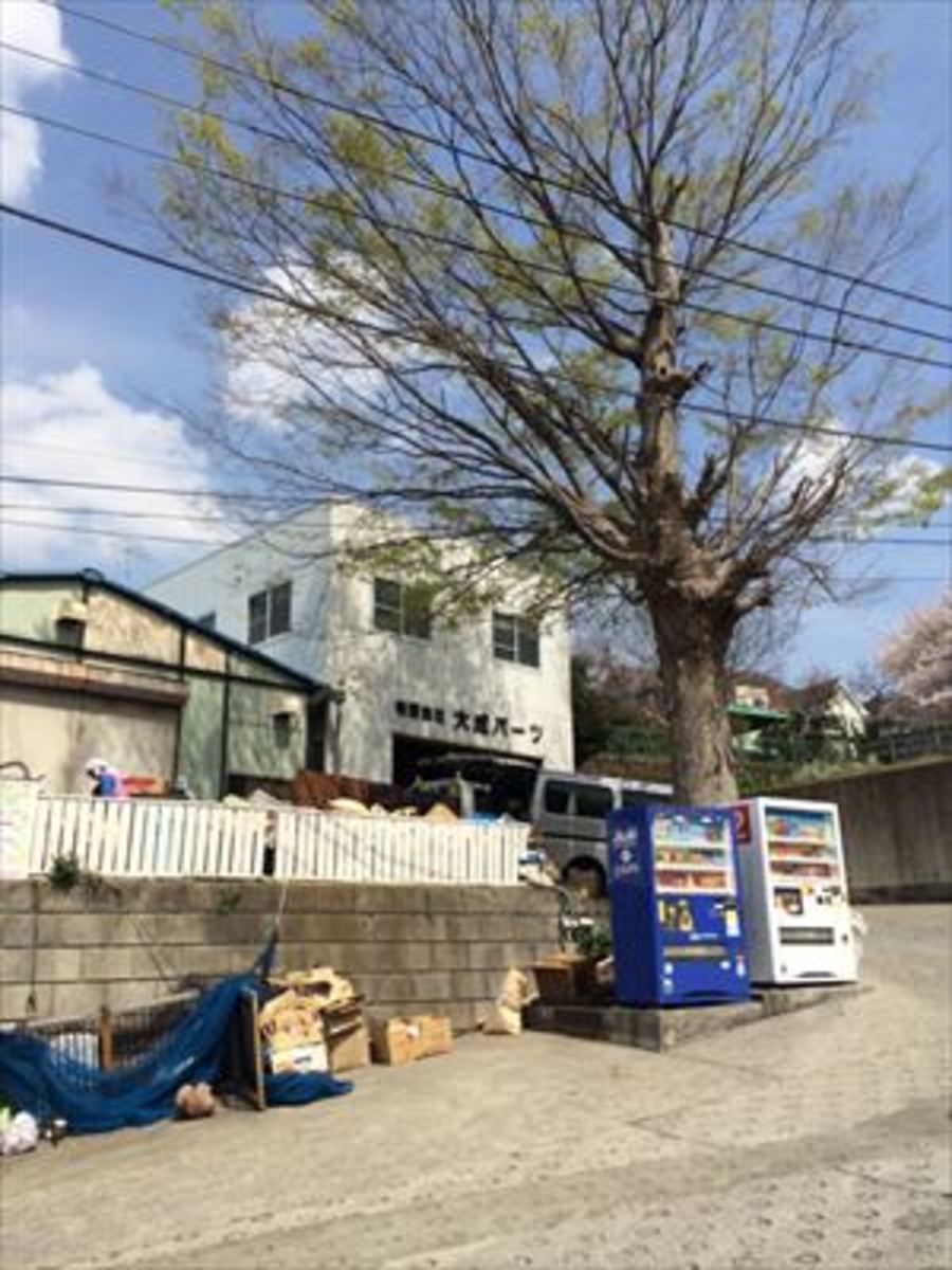 fresh/building/J00100416604_3