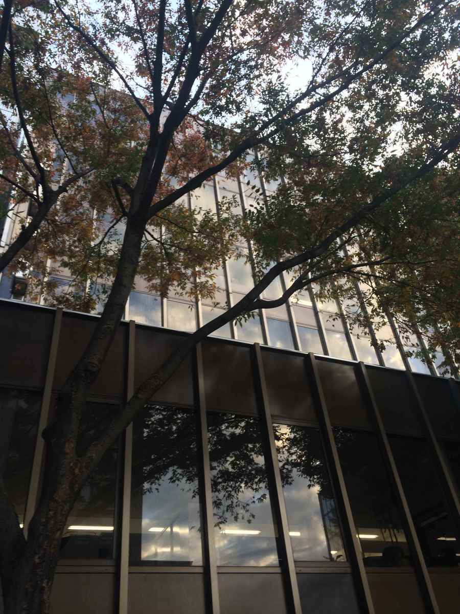 fresh/building/J00100417401_10