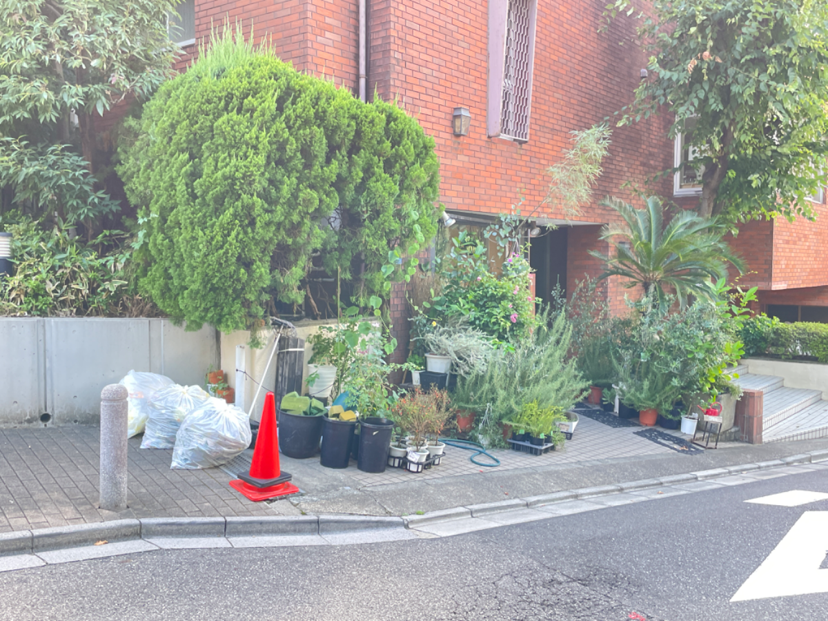 fresh/building/J00100417449_10