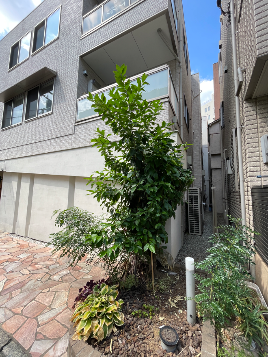 fresh/building/J00100417477_6