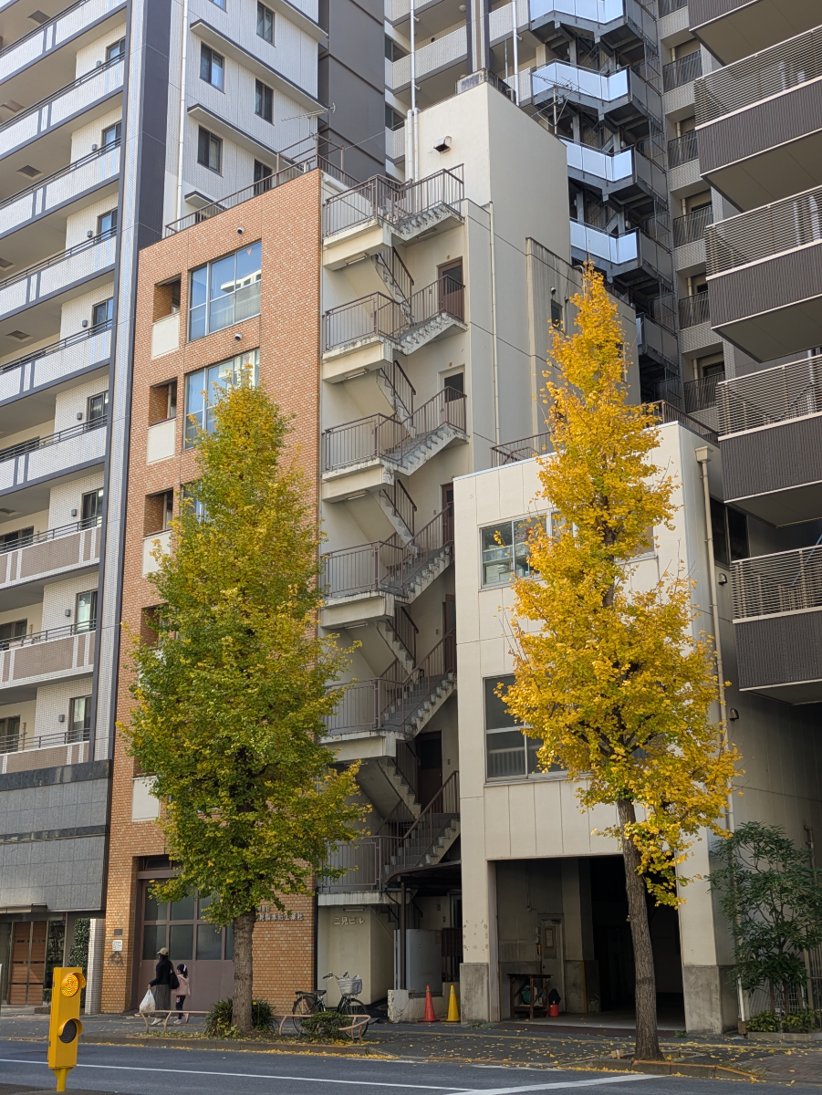 fresh/building/J00100418621_7