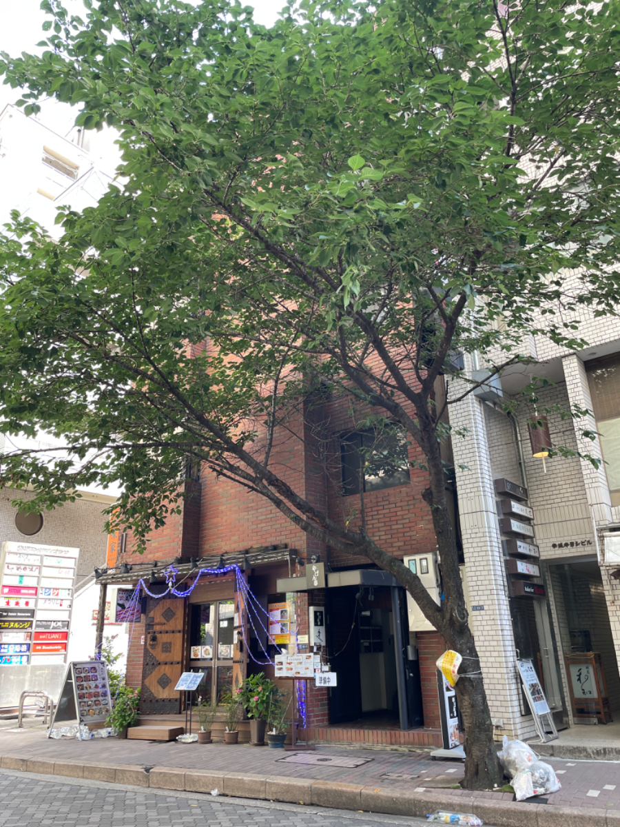 fresh/building/J00100418706_13