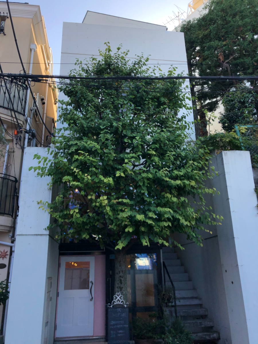 fresh/building/J00100418707_4