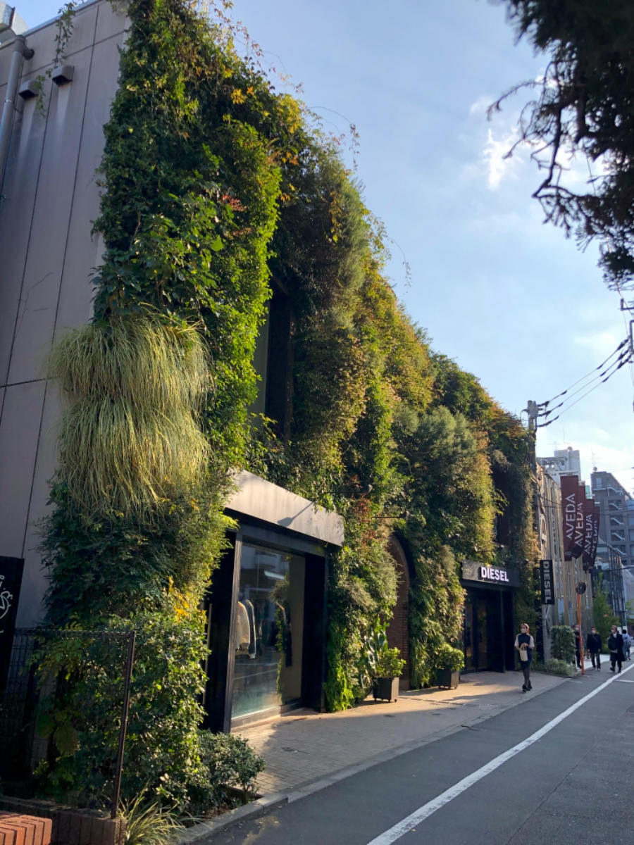 fresh/building/J00100418812_6