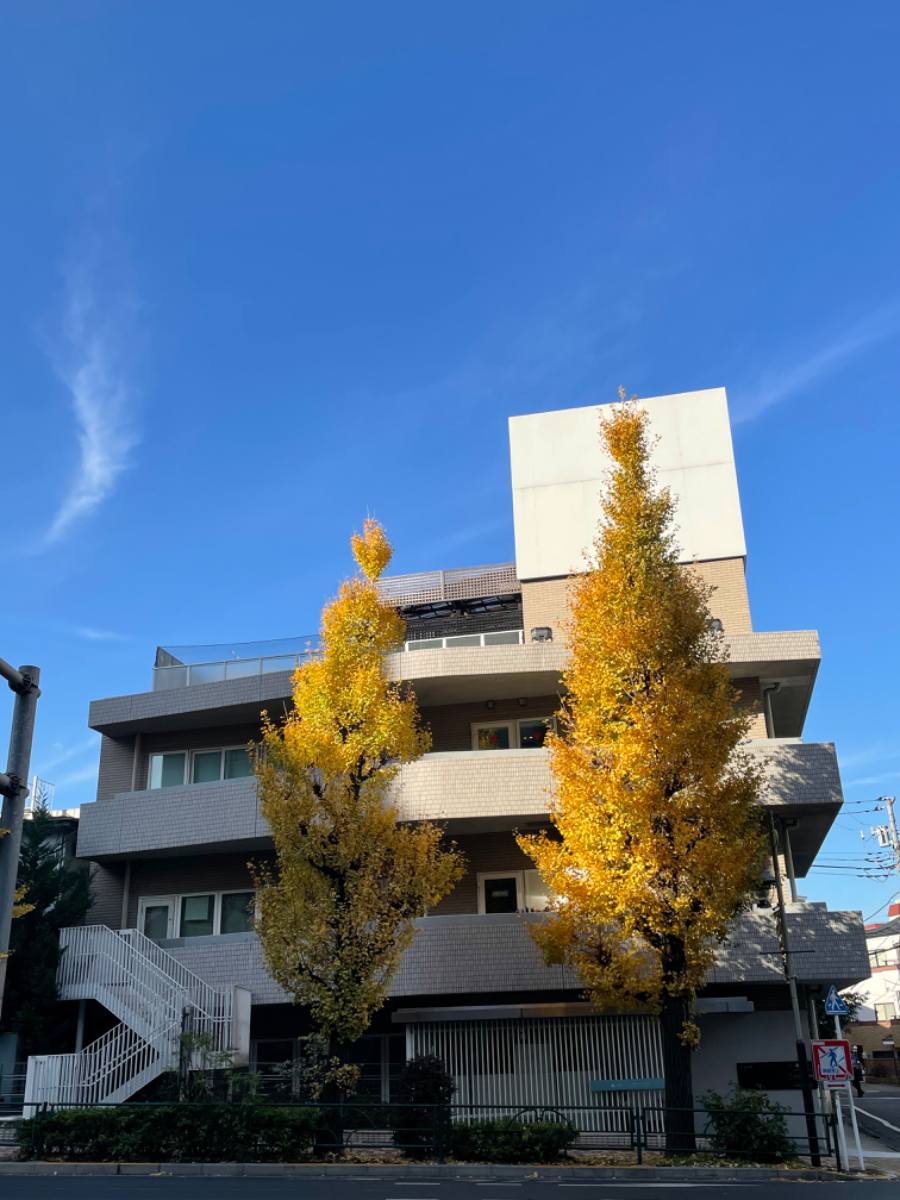 fresh/building/J00100419339_1