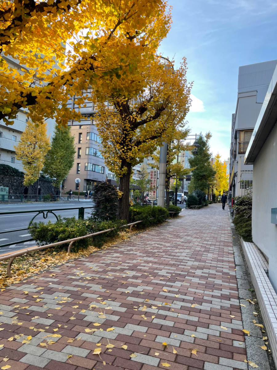 fresh/building/J00100419339_2