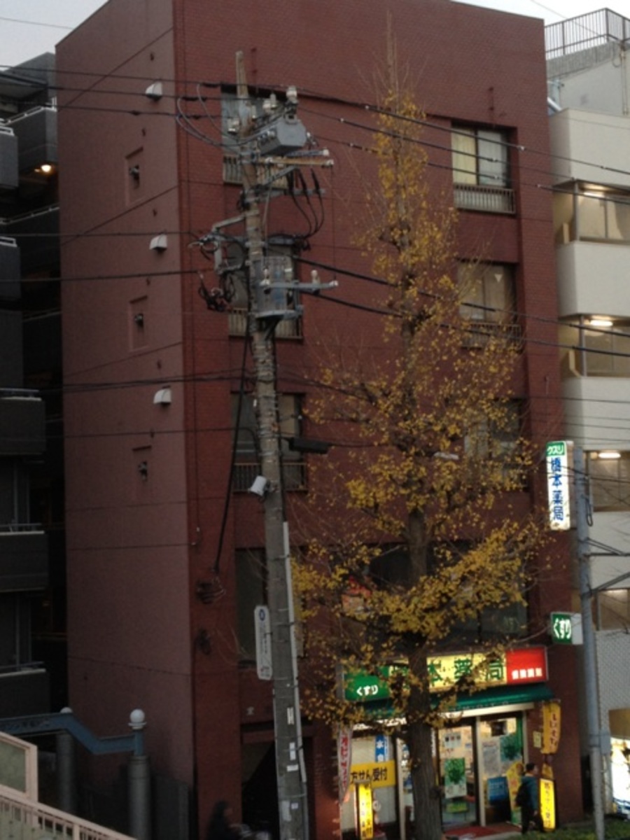 fresh/building/J00100419673_1