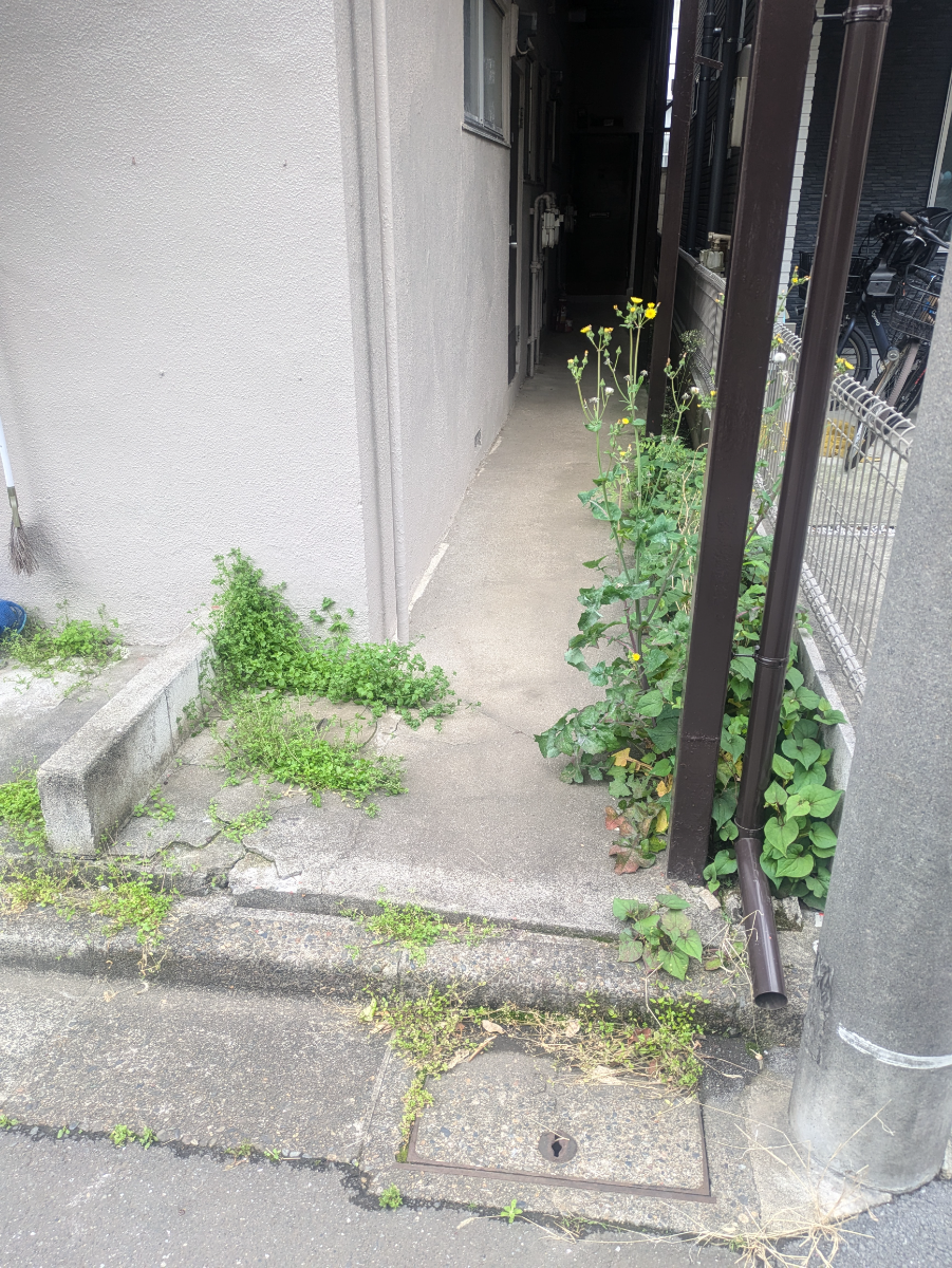 fresh/building/J00100419939_12