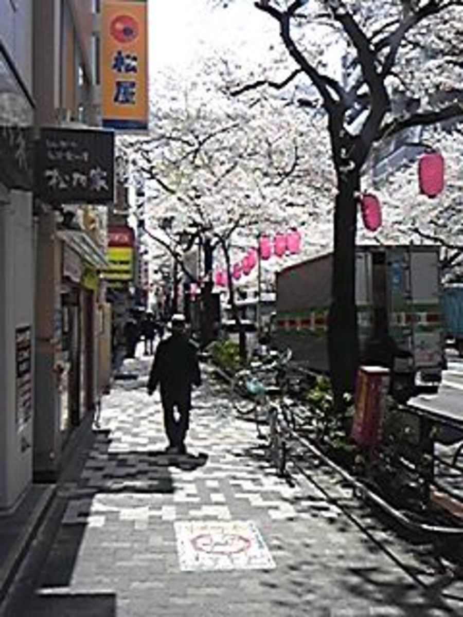 fresh/building/J00100420042_2