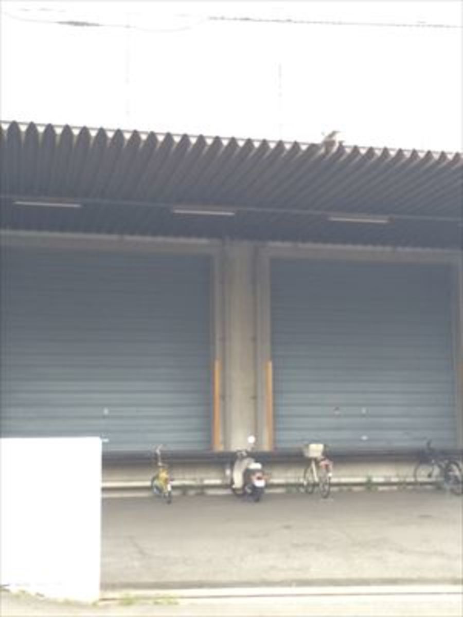 fresh/building/J00100420793_4