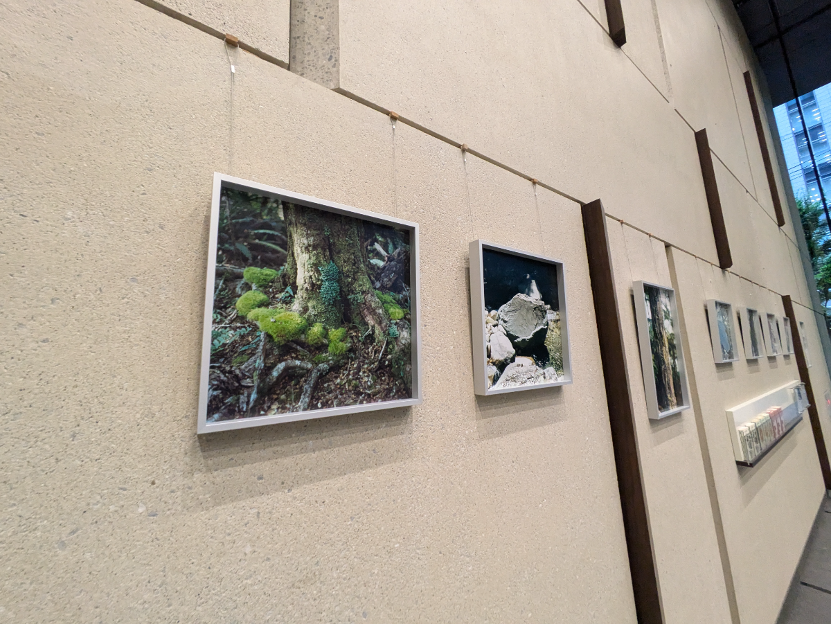 fresh/building/J00100420827_57