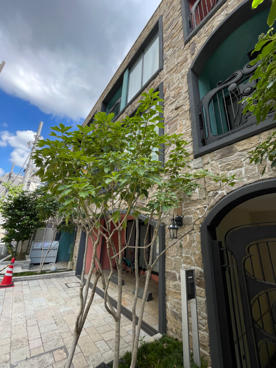 fresh/building/J00100420893_10