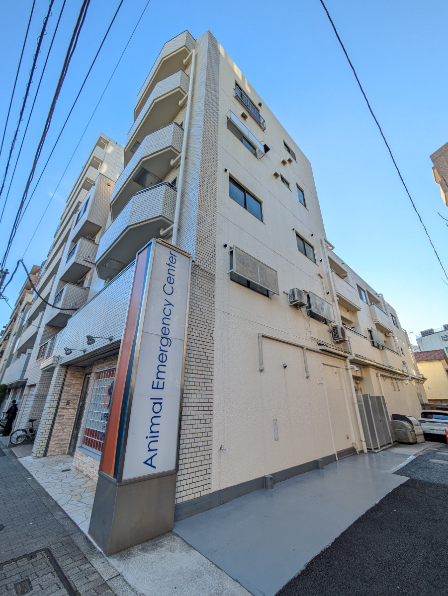 fresh/building/J00100421148_9