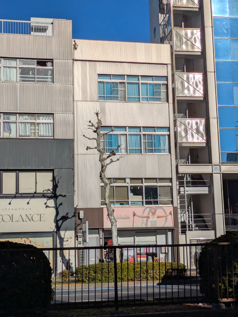 fresh/building/J00100421611_1
