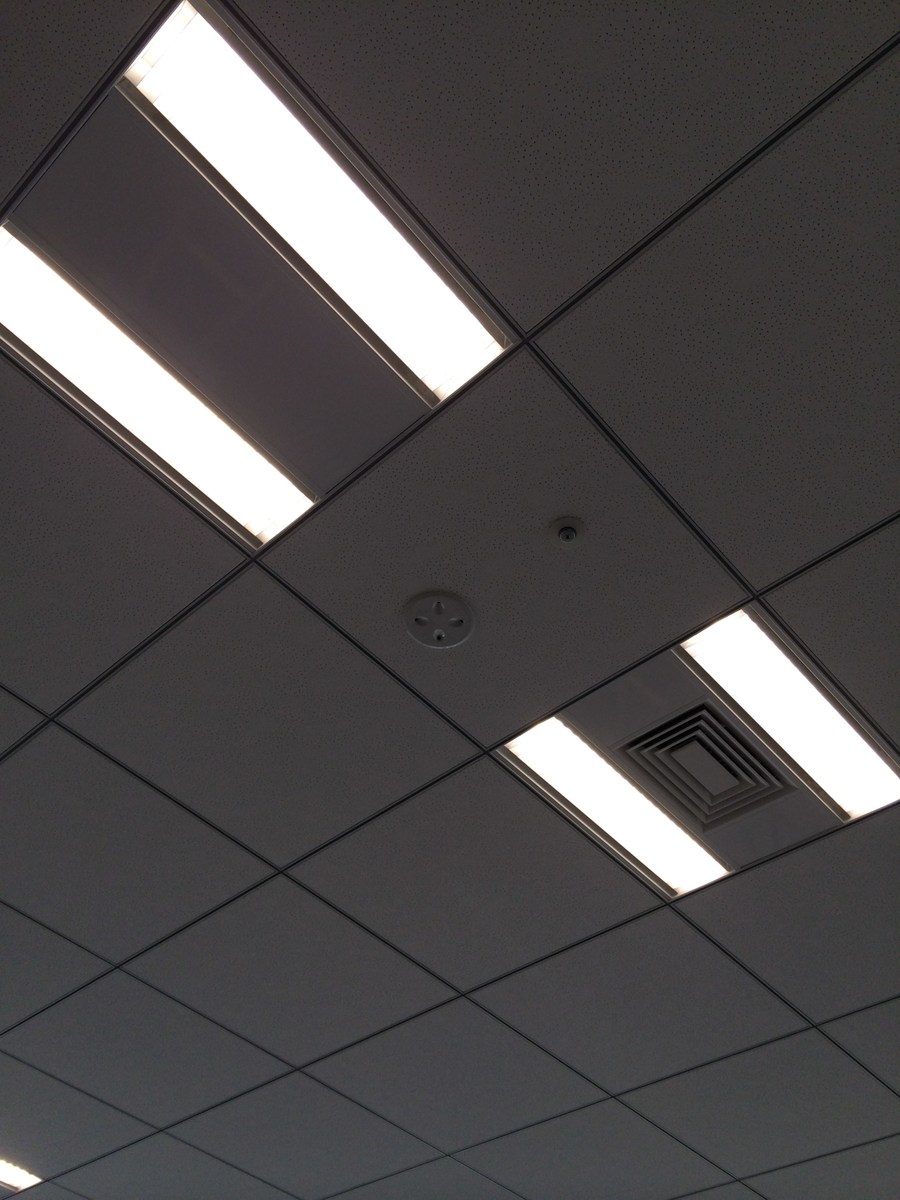 fresh/building/J00100421783_11