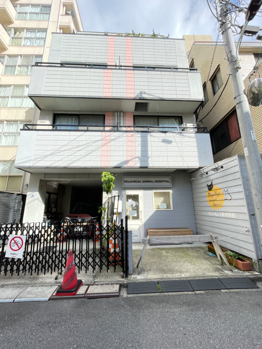 fresh/building/J00100421863_1
