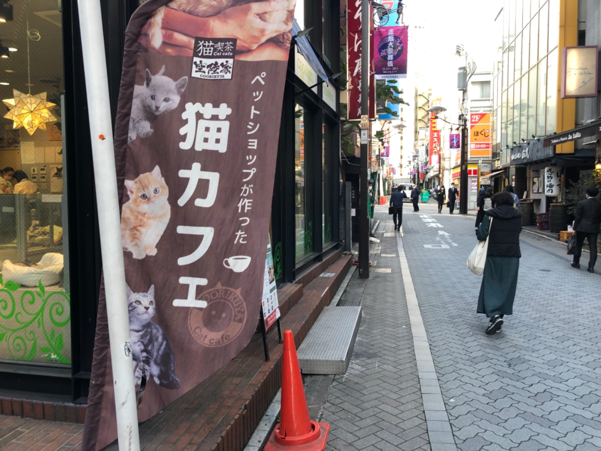 fresh/building/J00100425362_2