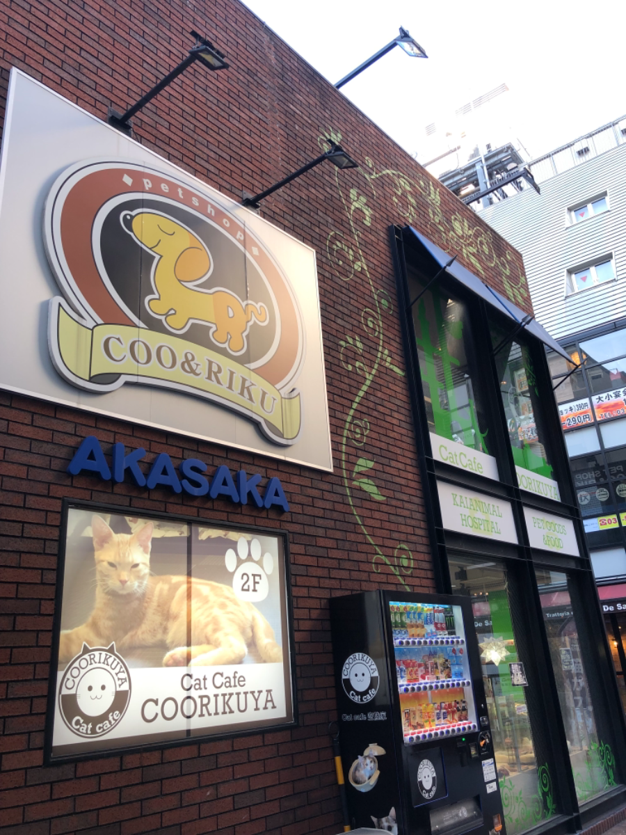 fresh/building/J00100425362_5