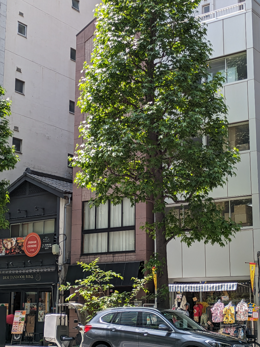 fresh/building/J00100425530_7