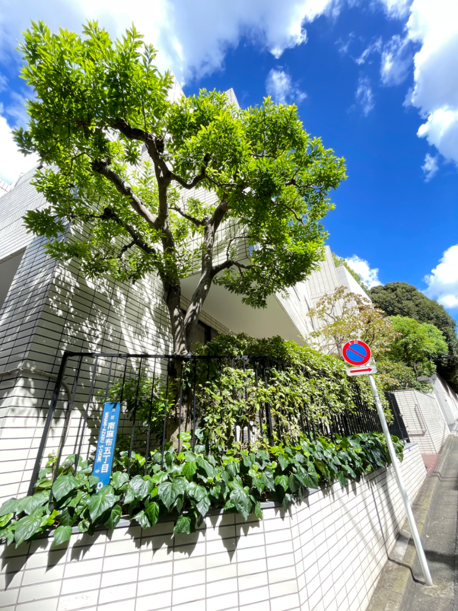 fresh/building/J00100425596_14