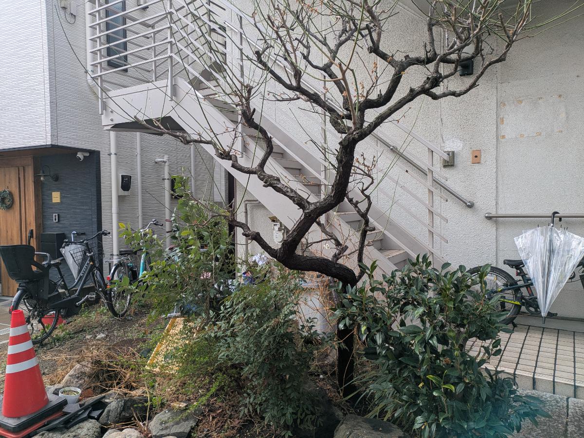 fresh/building/J00100428173_10