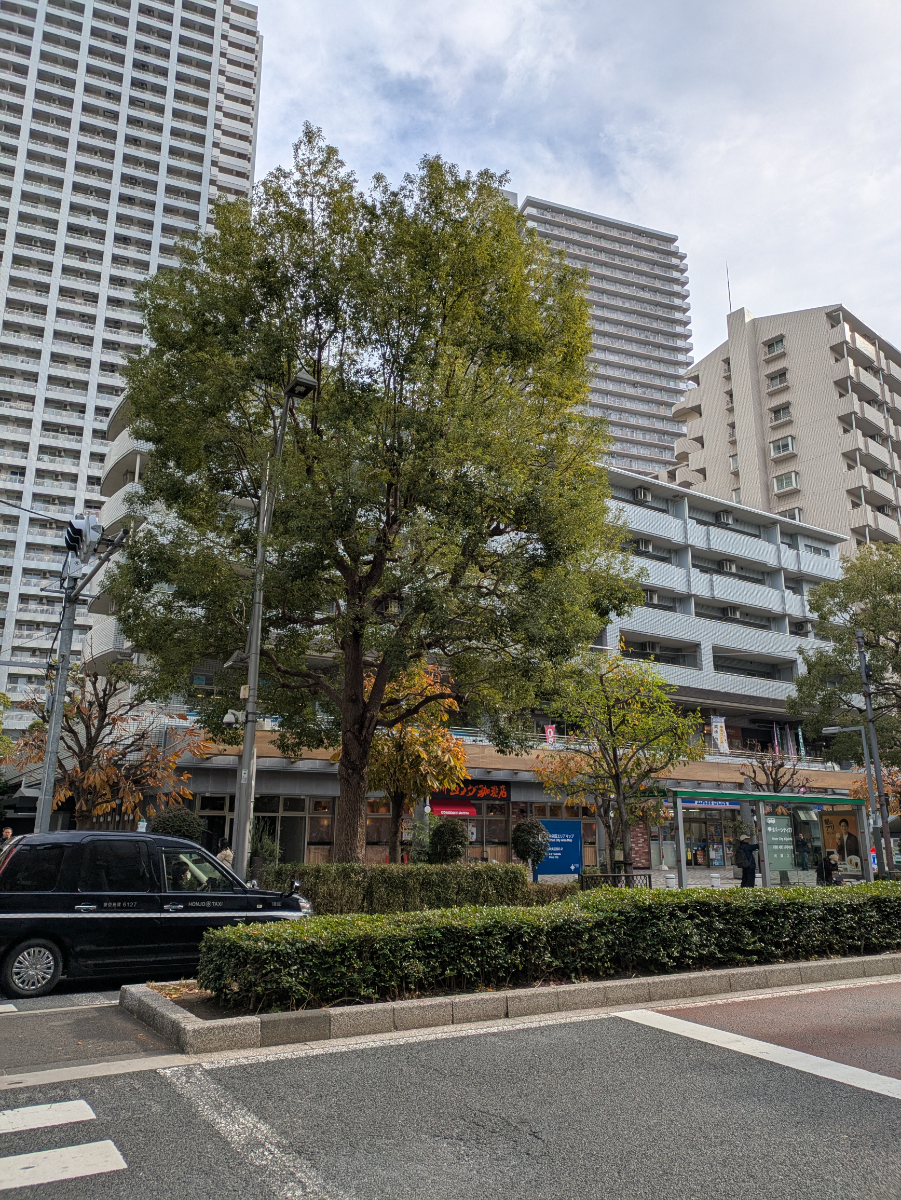 fresh/building/J00100438554_6