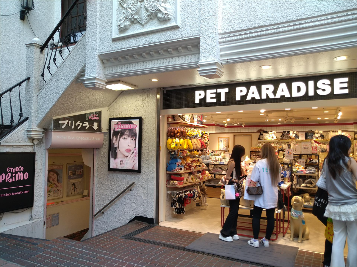 fresh/building/J00100441055_13