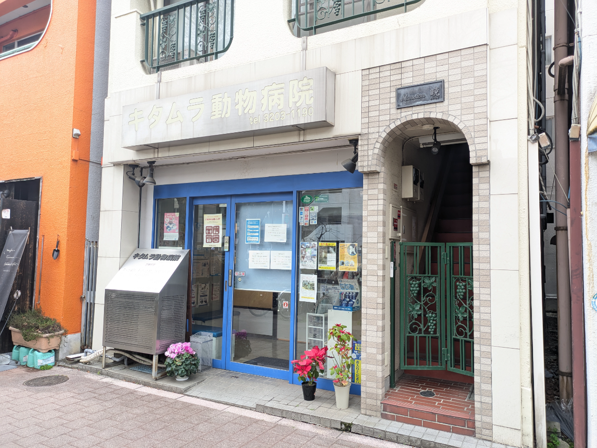 fresh/building/J00100442097_11