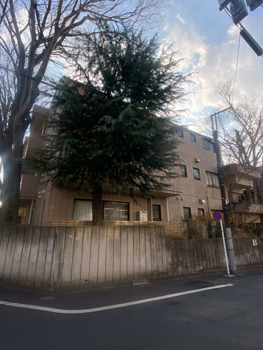 fresh/building/J00100442305_5