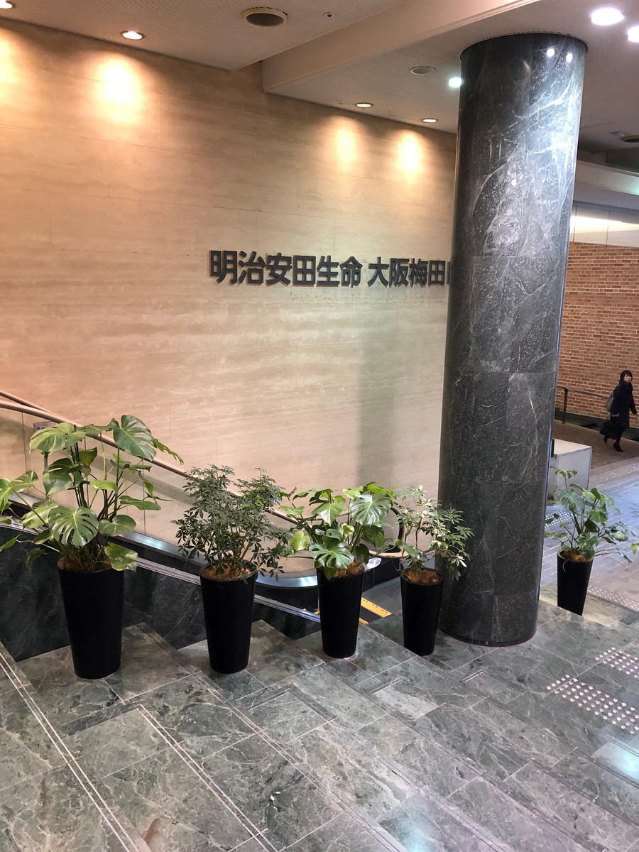 fresh/building/J00100450502_4