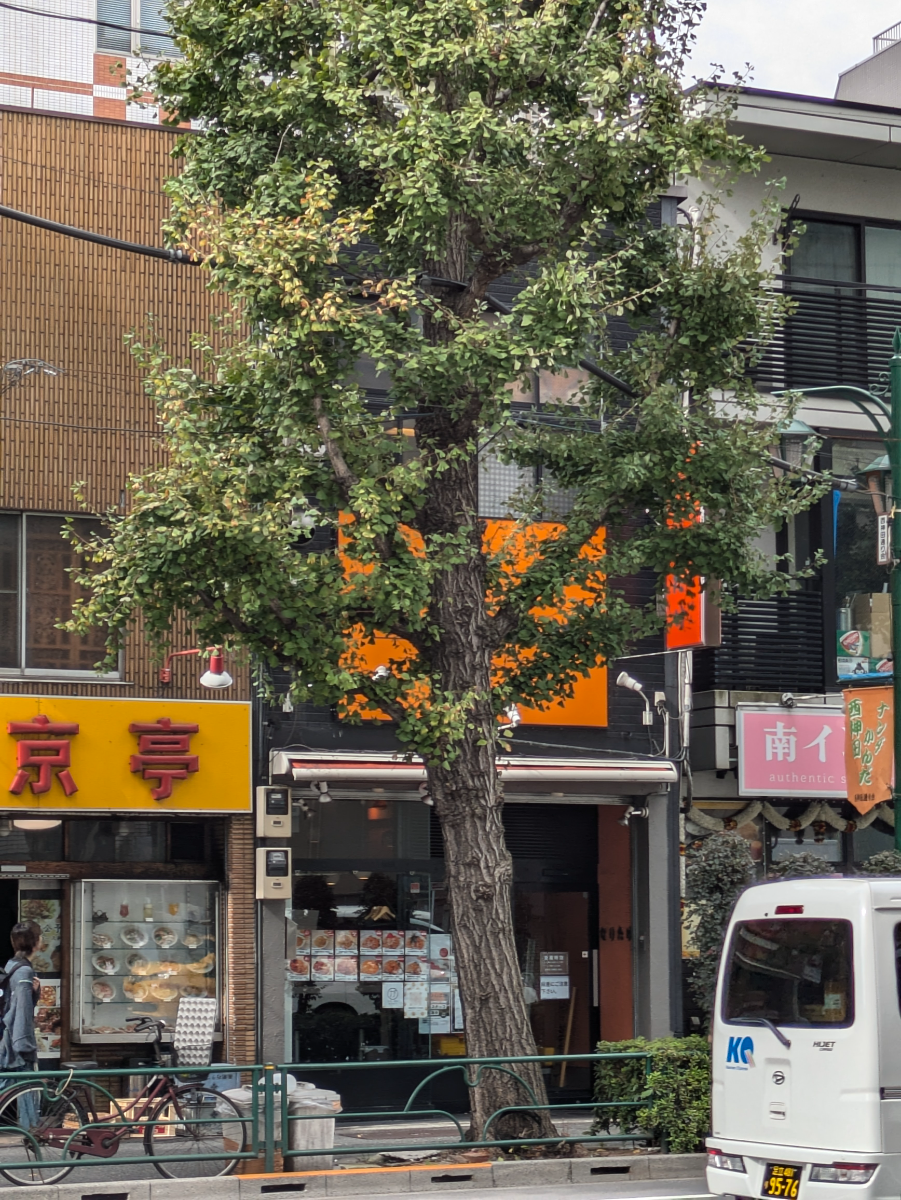 fresh/building/J00100457734_5