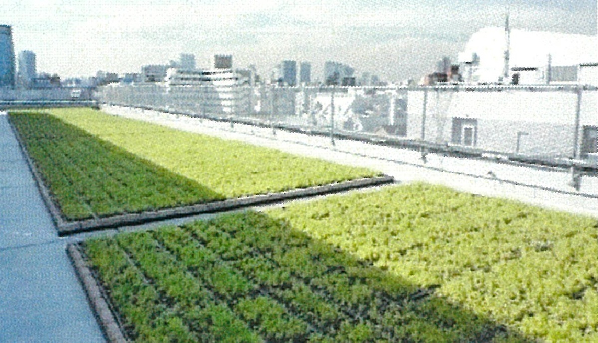 fresh/building/J00100463686_9