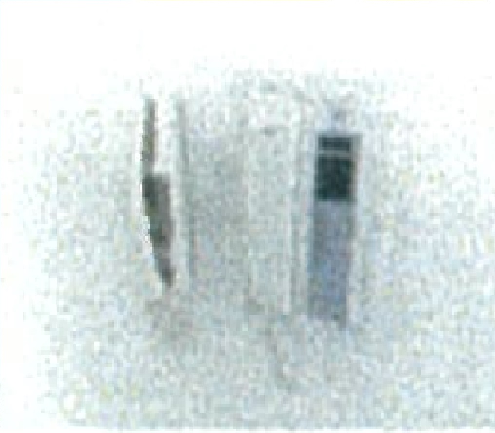 fresh/building/J00100463789_16