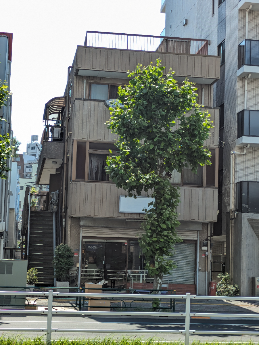 fresh/building/J00100467205_6