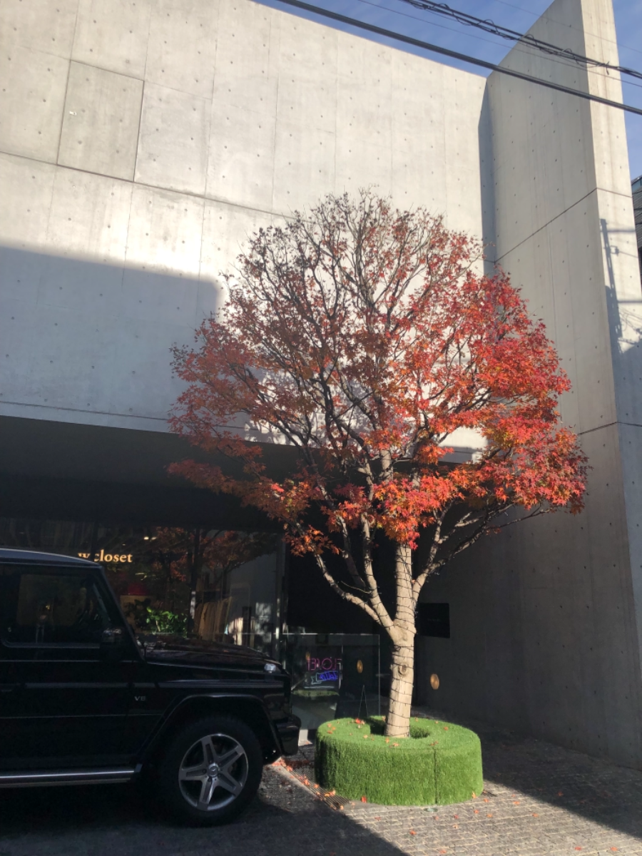 fresh/building/J00100468779_11