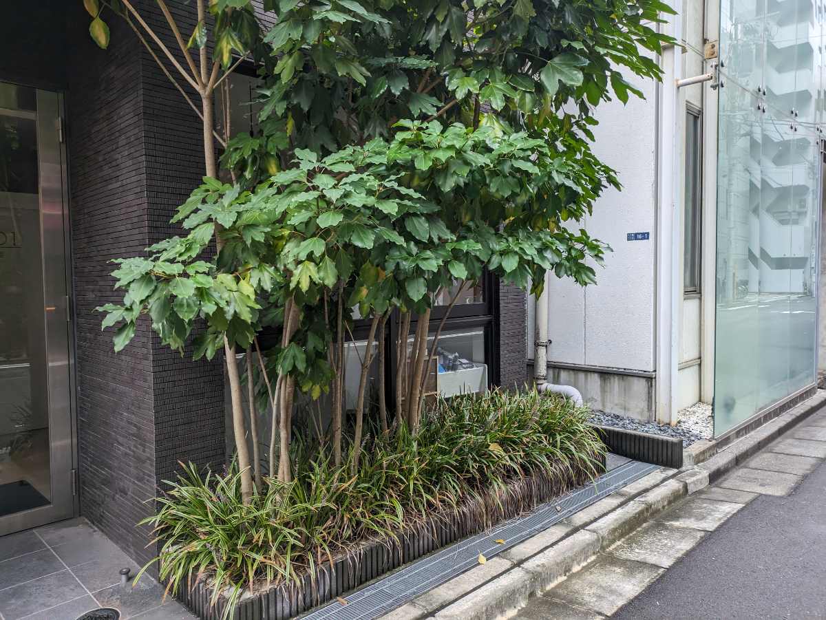 fresh/building/J00100475795_11